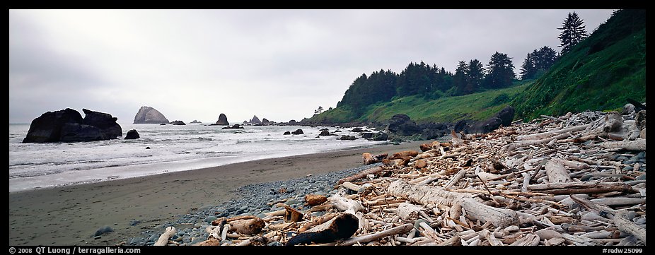 Beach with driftwood. Redwood National Park, California, USA.