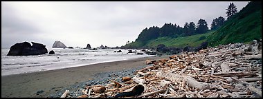 Beach with driftwood. Redwood National Park (Panoramic color)
