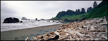 Beach with driftwood. Redwood National Park, California, USA.