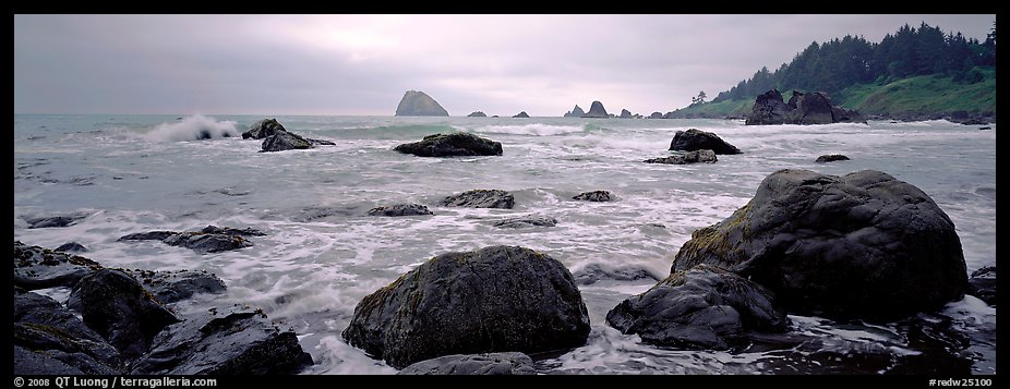 Misty seascape with boulders. Redwood National Park, California, USA.