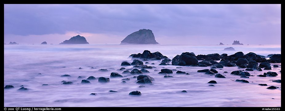 Rocks and seastacks at dusk. Olympic National Park (color)