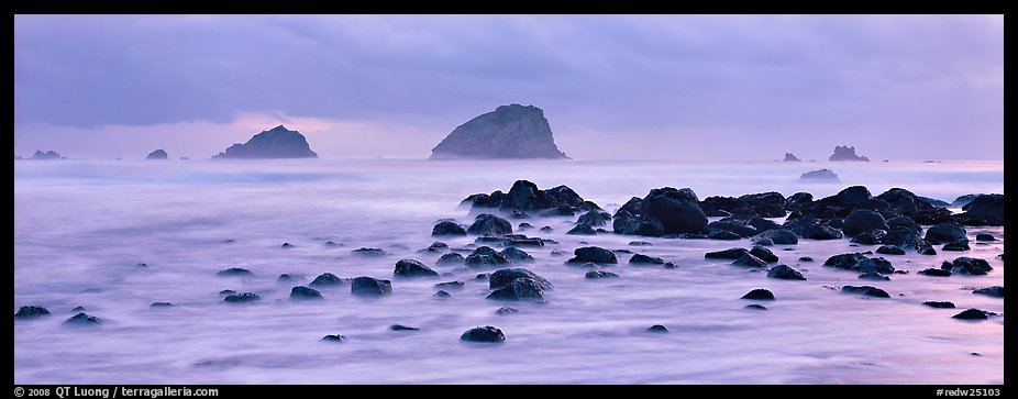 Rocks and seastacks at dusk. Redwood National Park (color)