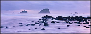 Rocks and seastacks at dusk. Olympic National Park (Panoramic color)