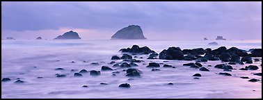 Rocks and seastacks at dusk. Redwood National Park (Panoramic color)