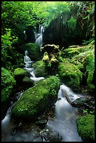 Cascade and mossy rocks, Trillium Falls, Prairie Creek Redwoods State Park. Redwood National Park, California, USA.