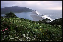 Coastline from Klamath overlook. Redwood National Park, California, USA.