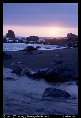 Stream on beach at sunset, False Klamath cove. Redwood National Park (color)