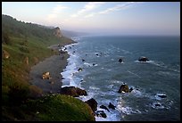 Coast from High Bluff overlook, sunset. Redwood National Park, California, USA.