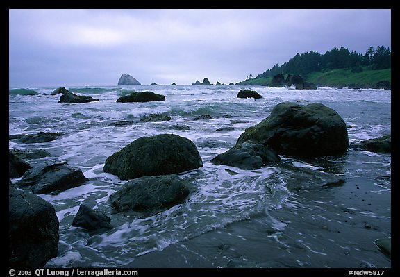 Boulder and surf, Hidden Beach. Redwood National Park, California, USA.