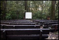 Amphitheater, Jedediah Smith Redwoods State Park. Redwood National Park, California, USA.