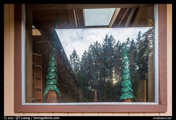 Redwood forest, Hiouchi Information center window reflexion. Redwood National Park (color)