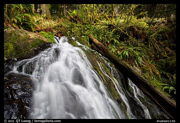 Upper cascades of Fern Falls and fallen tree, Jedediah Smith Redwoods State Park. Redwood National Park (color)