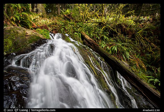 Upper cascades of Fern Falls and fallen tree, Jedediah Smith Redwoods State Park. Redwood National Park, California, USA.