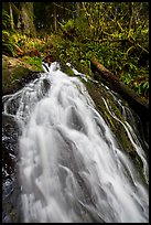 Upper cascades of Fern Falls , Jedediah Smith Redwoods State Park. Redwood National Park, California, USA.