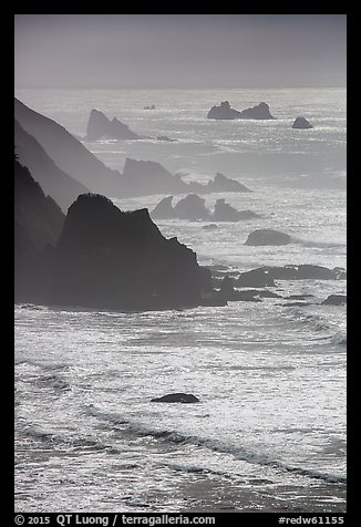 Ragged coastline near Enderts Beach. Redwood National Park, California, USA.