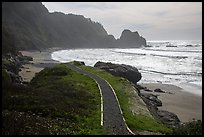 Trail and Enderts Beach. Redwood National Park ( color)