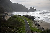 Trail and Enderts Beach. Redwood National Park, California, USA.