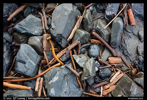 Close-up of driftwood, kelp, and rocks, Enderts Beach. Redwood National Park (color)