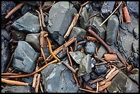 Close-up of driftwood, kelp, and rocks, Enderts Beach. Redwood National Park ( color)