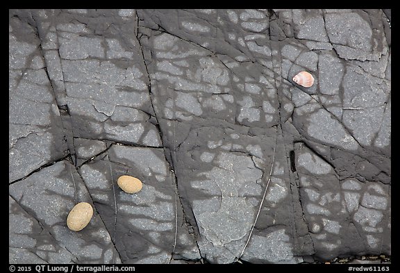Close-up of rock slab with pebbles and shell, Enderts Beach. Redwood National Park (color)