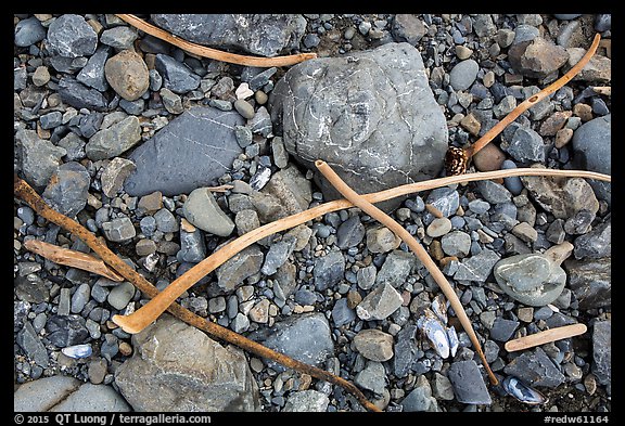 Close-up of rocky beach. Redwood National Park, California, USA.