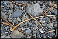 Close-up of rocky beach. Redwood National Park, California, USA.