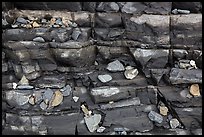 Close-up of rocks and stratified slab, Enderts Beach. Redwood National Park ( color)