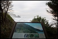 Coastline and Sturdy survivors interpretive sign. Redwood National Park, California, USA.