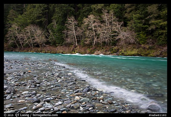 Smith River in winter, Jedediah Smith Redwoods State Park. Redwood National Park (color)