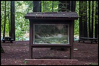 Interpretive picture and redoods on the banks of Smith River, Jedediah Smith Redwoods State Park. Redwood National Park, California, USA.