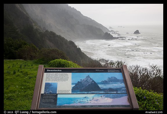 Enderts Beach, Seastacks interpretive sign. Redwood National Park (color)