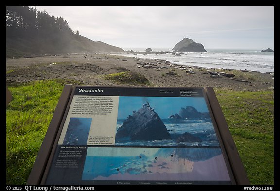 False Klamath Cover, Seastacks interpretive sign. Redwood National Park (color)