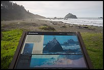 False Klamath Cover, Seastacks interpretive sign. Redwood National Park, California, USA.