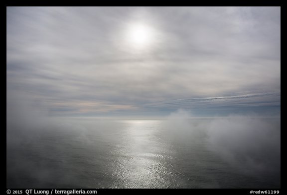 Veilled sun and fog floating above Ocean. Redwood National Park, California, USA.