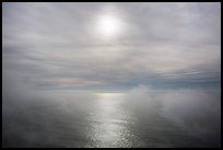 Veilled sun and fog floating above Ocean. Redwood National Park, California, USA.