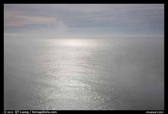 Ocean with sun reflection and fog. Redwood National Park, California, USA.