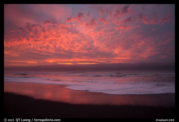 Brilliant clouds at sunset, Gold Bluffs Beach, Prairie Creek Redwoods State Park. Redwood National Park, California, USA.