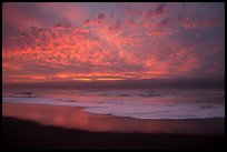 Brilliant clouds at sunset, Gold Bluffs Beach, Prairie Creek Redwoods State Park. Redwood National Park ( color)
