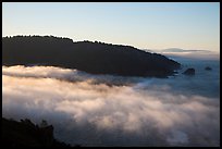 Low fog at the mouth of Klamath River. Redwood National Park, California, USA.