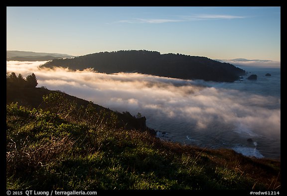 Sea of clouds at the mouth of Klamath River. Redwood National Park (color)