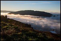 Sea of clouds at the mouth of Klamath River. Redwood National Park, California, USA.