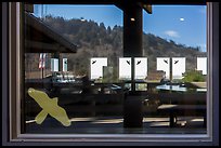 Hillside with trees, ocean,  Kuchel Visitor Center window reflexion. Redwood National Park ( color)