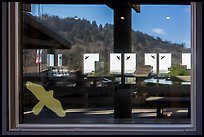 Hillside with trees, ocean,  Kuchel Visitor Center window reflexion. Redwood National Park, California, USA.