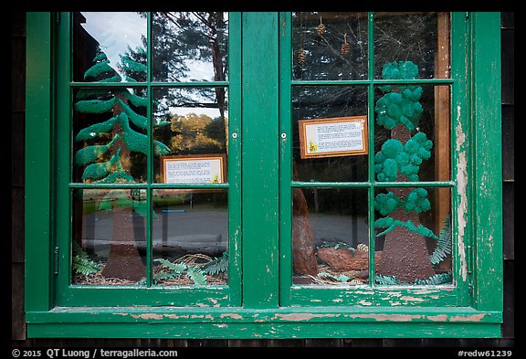 Prairie and forest, Prairie Creek Redwoods Visitor Center window reflexion. Redwood National Park (color)