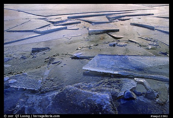 Ice on lake near Trail Camp, Inyo National Forest. California, USA