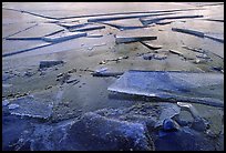 Ice on lake near Trail Camp, Inyo National Forest. California, USA ( color)