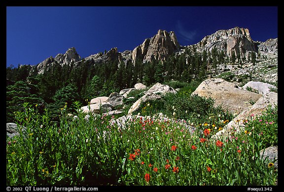 Alta Peak range. Sequoia National Park (color)