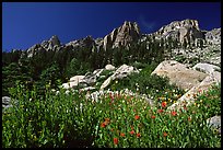 Alta Peak range. Sequoia National Park, California, USA. (color)