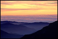 Receding lines of  foothills and sea of clouds at sunset. Sequoia National Park, California, USA. (color)