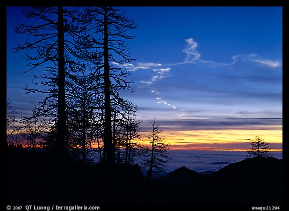 Sky trails at sunset. Sequoia National Park, California, USA.